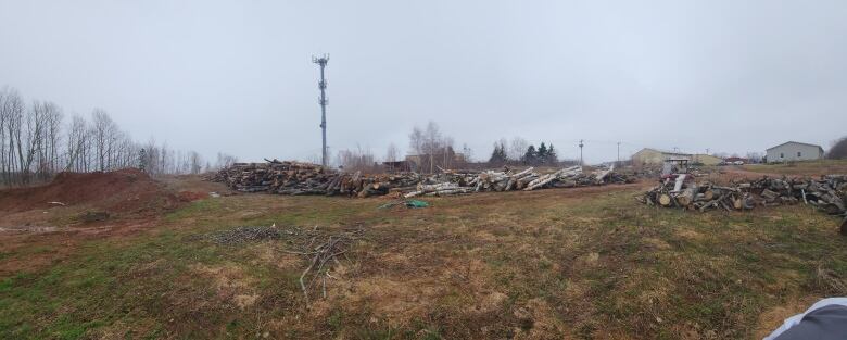 Stacks of trees on a golf course 