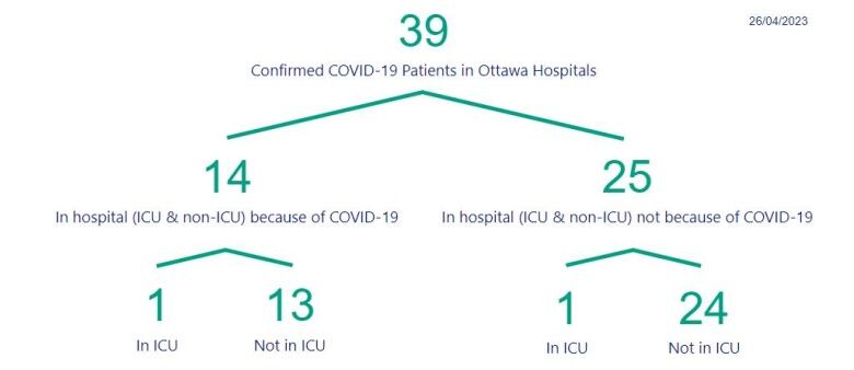 A chart showing the number of people in Ottawa hospitals with COVID.