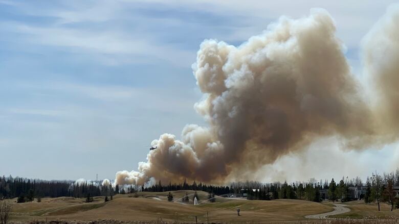 Smoke is seen billowing out of a treed area west of Edmonton. 