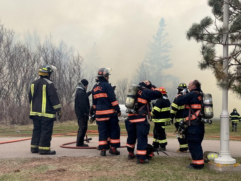 About eight firefighters in full uniform stand in front of smoky woodland. 