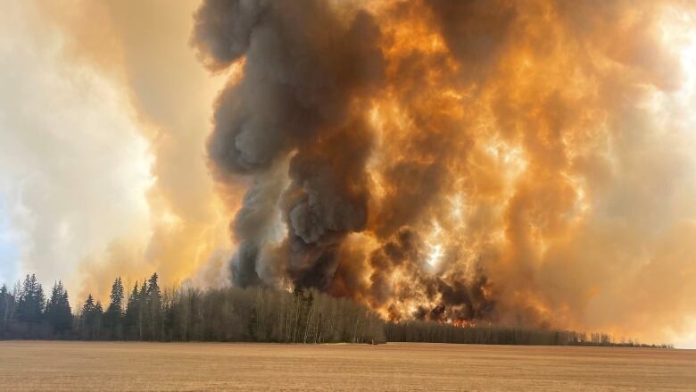 Smoke and flames are visible from a wildfire burning in a forested area near farmland.