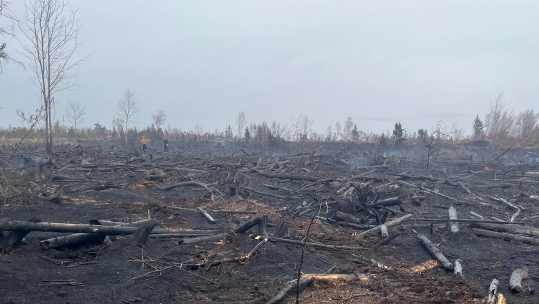 A view of part of the Crowbush property after the flames went through. 