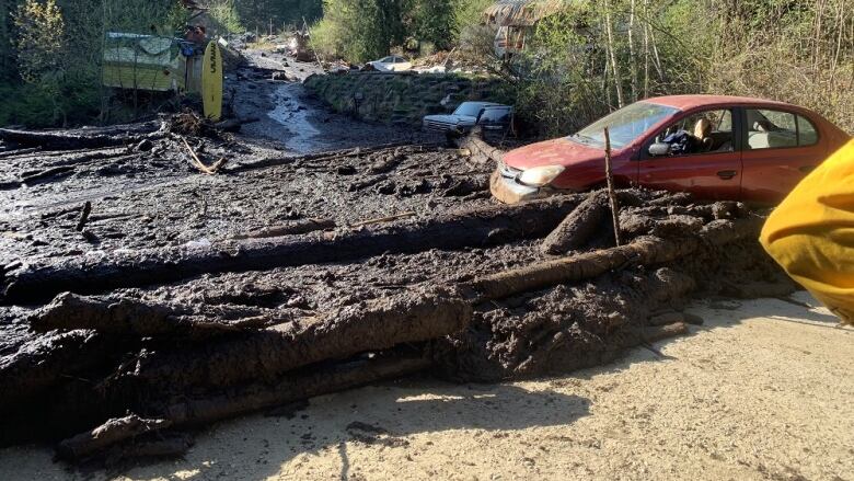 A sea of mud washes down a road, engulfing a car.