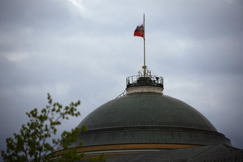 A view of a dome at the Senate Palace at the Kremlin in Moscow.