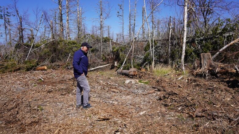 A man walks on an area covered by broken bits of wood and behind are destroyed trees on a golf course.