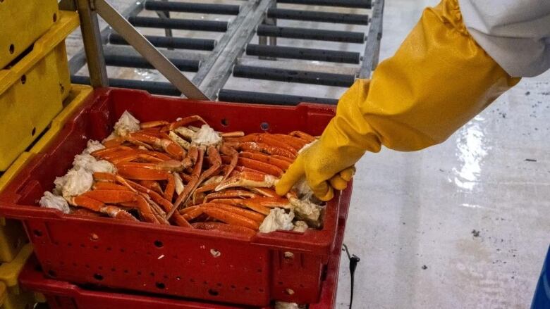 A yellow gloved hand points to a red box filled with crab legs.