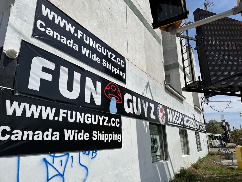 Large signage plastered across the side of the building at 256 Richmond advertises the online store that FunGuyz offers.