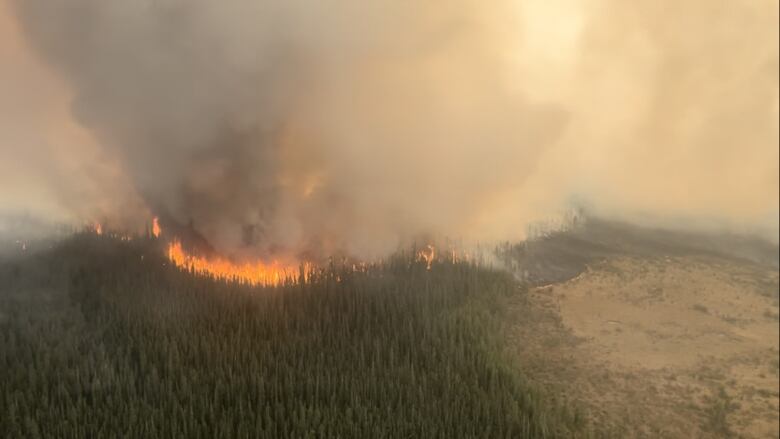 Aerial shot of flames and smoke rising from a forested area