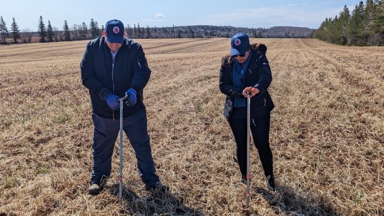 Two people in a field taking soil samples 