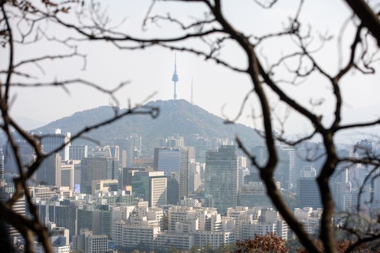 A landscape view with buildings in the foreground and a tower on a mountain in the background.