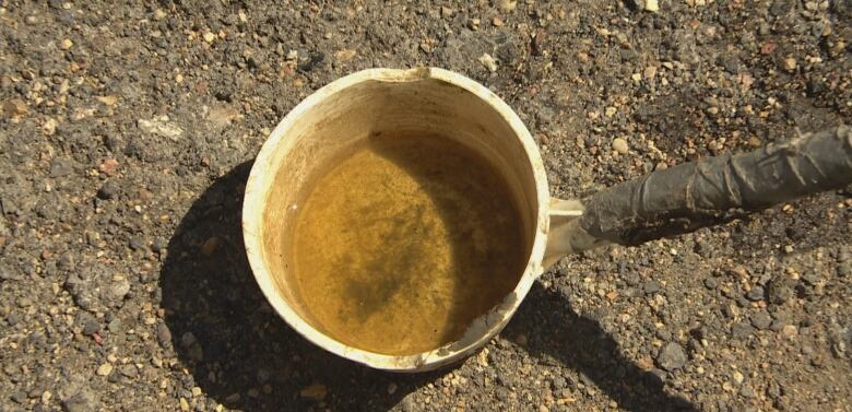 A water sample of the pond in a white cup. 