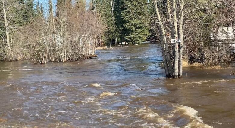 Rushing water is seen near some residential buildings and trees.