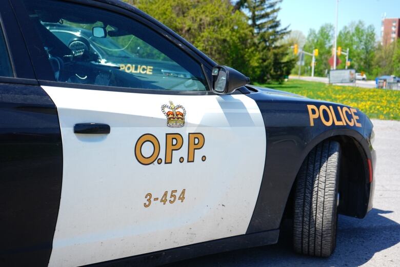 A close-up of a police cruiser on a sunny day.