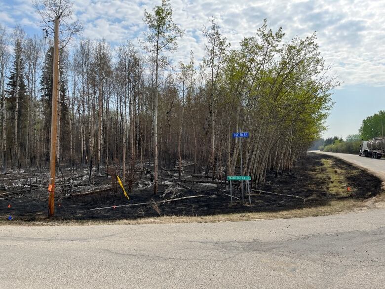 A raodway curves by a scorched portion of earth and trees