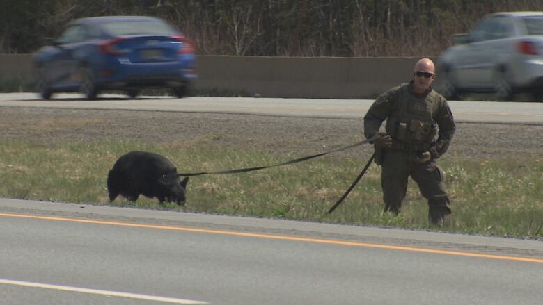 A man in uniform walks along a highway median with a police dog on a leash.