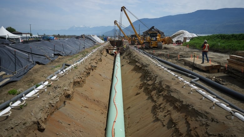 Workers lay pipe during construction of the Trans Mountain pipeline expansion.