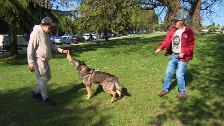 A man feeds a dog a piece of bread while another man holds the dog on a leash. 