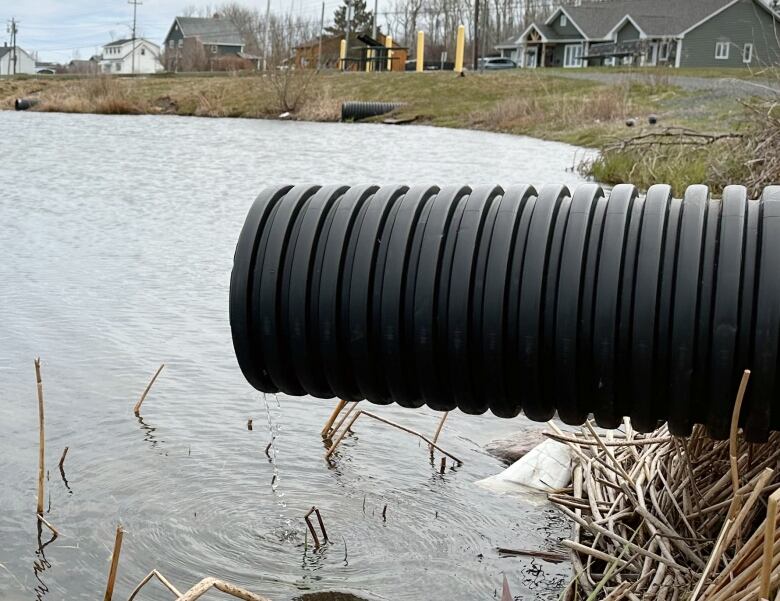 A PVC drainage pipe trickling into a lake.