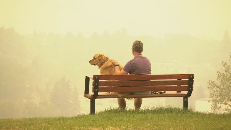 A man sits on a bench with a dog looking at a hazy Calgary skyline due to Alberta wildfires.