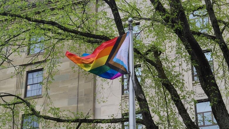 The progress Pride flag, which includes stripes to highlight transgender people and people of colour, is flown on a flag pole with trees behind.