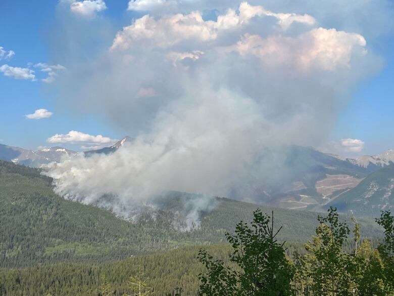 Smoke can be seen emerging from a heavily treed area. There are mountains in the background.