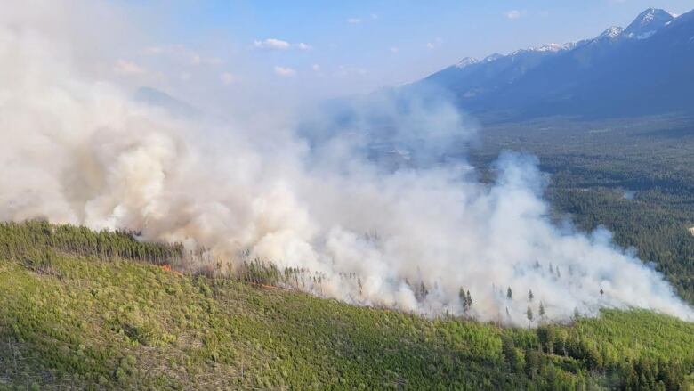 Smoke emerges from a heavily treed area. 