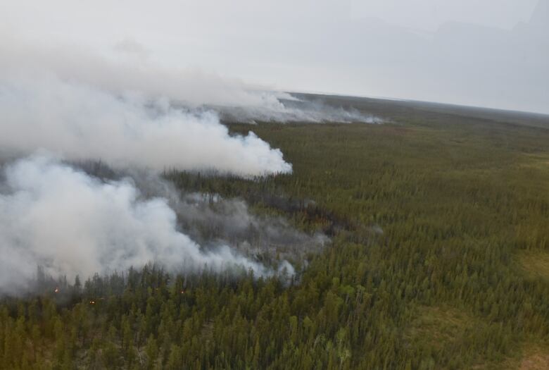 Smoke plumes off of forest.