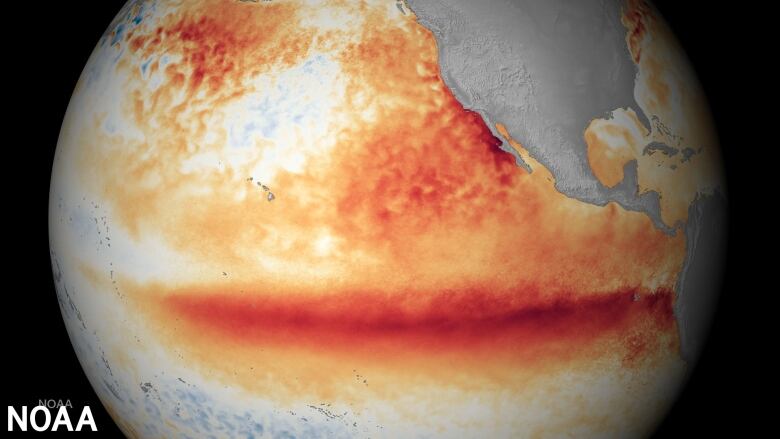 The central and Pacific Ocean is seen on a globe with a notable red region near the equator stretching from Peru westward, indicating warmer than average sea surface temperatures.