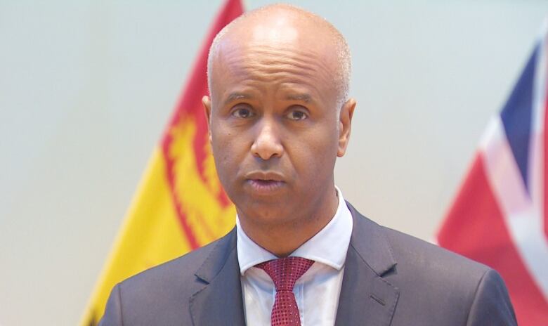 A bald man wearing a suit and tie and standing in front of a New Brunswick flag, left, and Canadian flag, right.