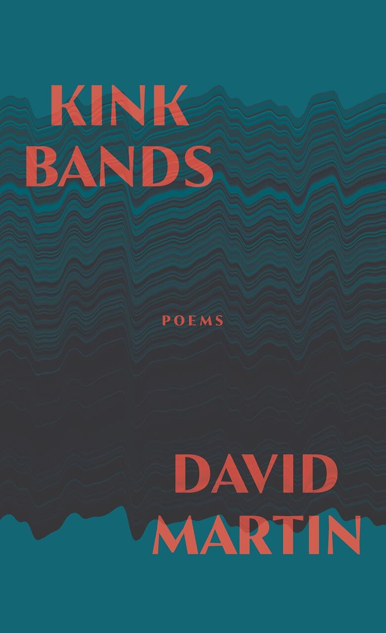 The book cover with a drawing of the kinks in a rock formation with a teal coloured background