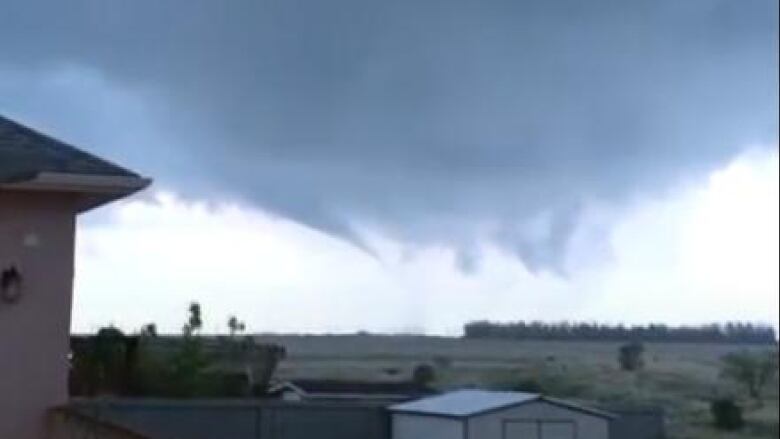 A thin tornado forms from a dark cloud on the horizon. It forms over a field with nearby trees. In the foreground are two residential backyards, with sheds and fences.