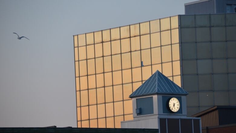 The sun hits a large office building, with a clock tower in the foreground and a seagull flying in the sky 