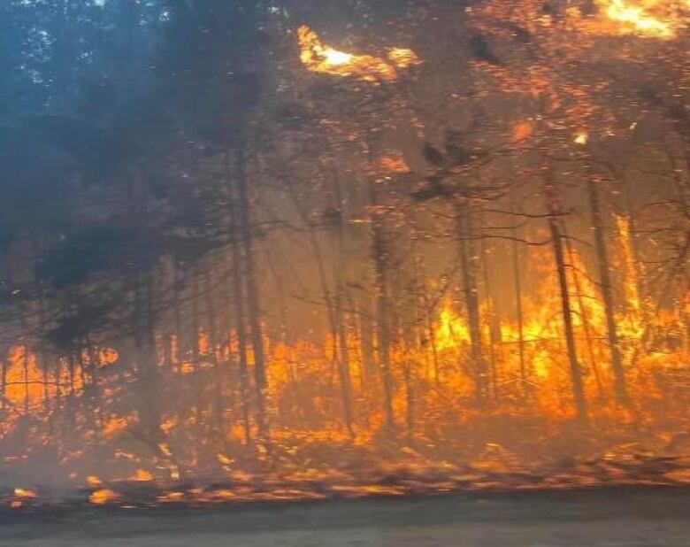 A blazing forest seen through a car side window.