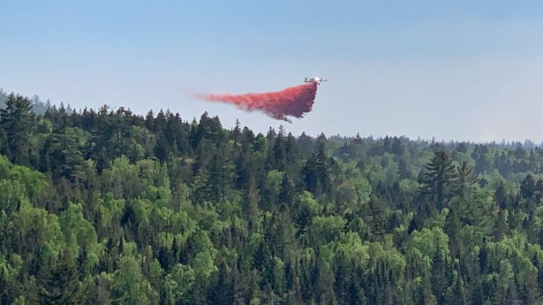 A plane drops red-coloured fire retardant over a large forest.