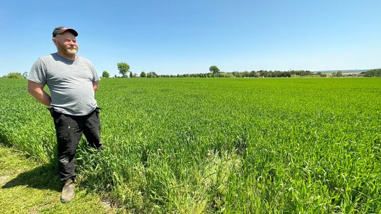 Farmer standing at the edge of a field of soft red winter wheat.  