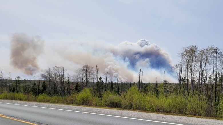 Smoke over trees.