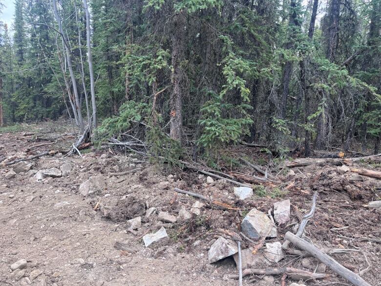 Displaced rock, tree limbs, and dirt along a trail.