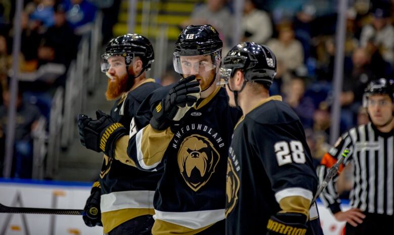 Three hockey players wearing black and brown. 