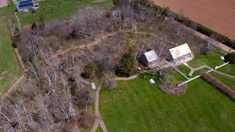 An aerial photo shows two buildings surrounded by a thinned-out forest and downed trees.