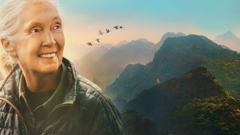 A movie poster depicting Jane Goodall against a backdrop of large birds flying over mist-covered mountains.