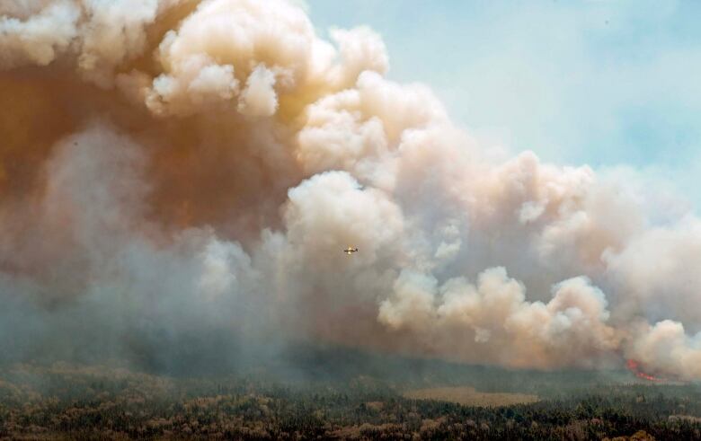 A plane flies by thick smoke over a forested area as flames are visible in the background.