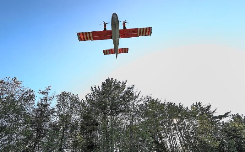 A water bomber flies over the woods