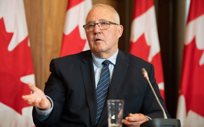 A man in a suit speaks in front of Canadian flags at a microphone.