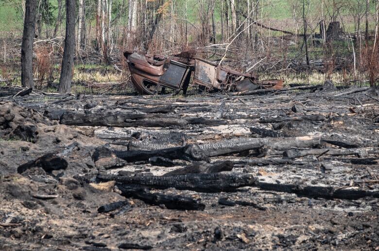 A burnt car lies in a wooded area.