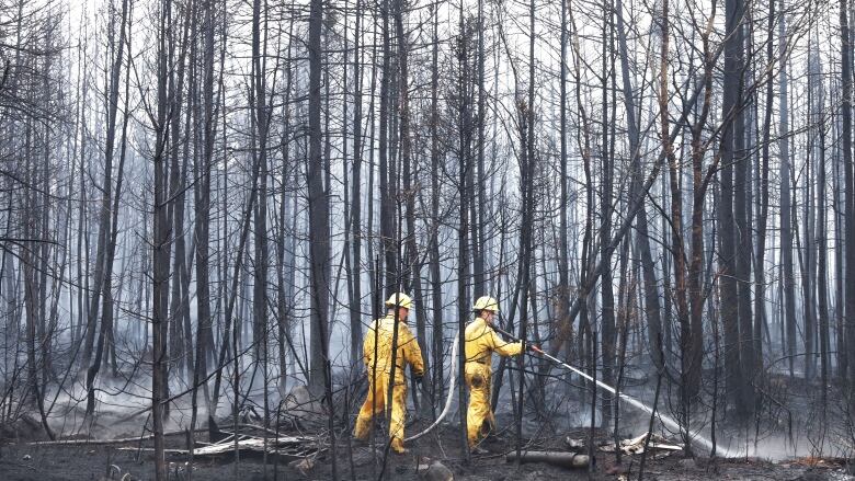 Two firefighters in the woods put out hotspots. They both are wearing yellow suits 