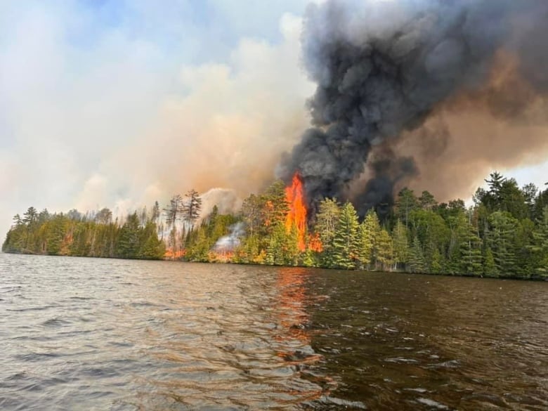 Flames in a forest on the shore of a lake in late spring.