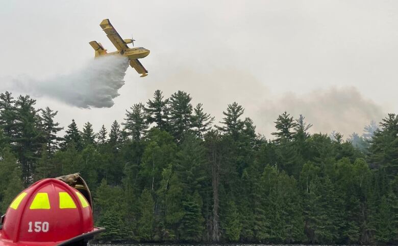 A water bombing plane drops water over a forest next to a lake.