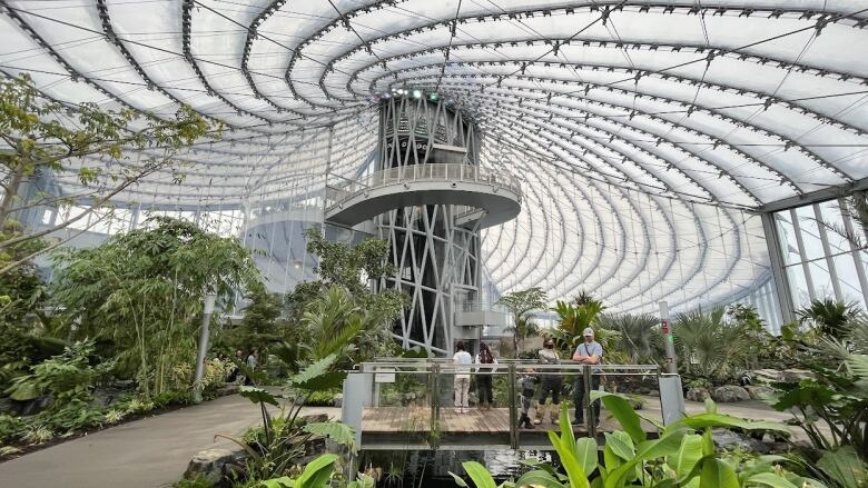 Tropical plants are seen inside a building with a swirl-design roof.