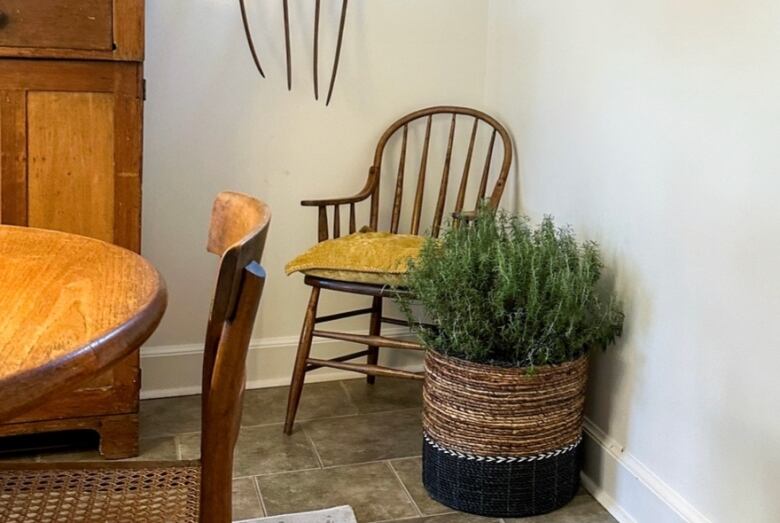 A basket with a plant in it.