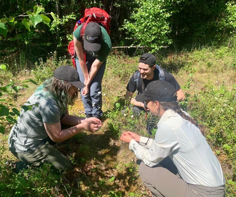 Four people gathered around plants leaning into see what they are, wearing ball caps in a forested area.